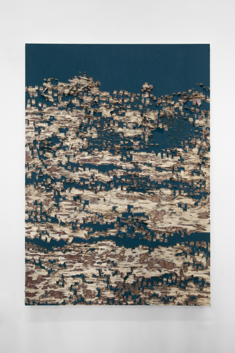 IsabelleFerreira_Subtraction(lasc 950)_2013_©IsabelleGiovacchini